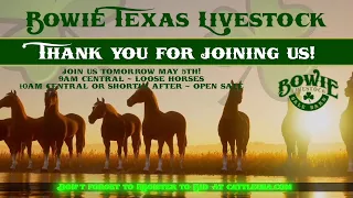 Bowie Texas Livestock May 4th Catalog Sale
