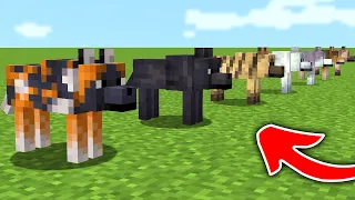 10 FACTS, TRICKS AND HACKS about WOLVES in Minecraft 1.20.5