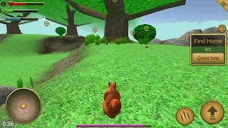 Squirrel Simulator (by Avelog) - free offline simulation game for Android - gameplay.