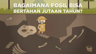 Bagaimana Fosil Bisa Bertahan Jutaan Tahun?