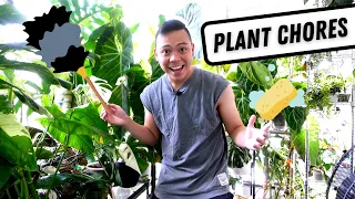 watch me do plant chores 💚 watering my plants, moss pole maintenance, pest treatment, air layering