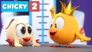 Where's Chicky? NEW EPISODE | CHICKY THE KING | Chicky Cartoon in English for Kids