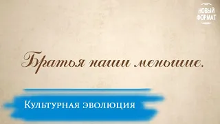 Рассказы о Хотькове для больших и маленьких. «Братья наши меньшие»