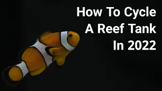 How To Cycle A Saltwater Aquarium In 2022 - Quickly And Properly