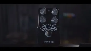 GOKKO AUDIO - Sonic Bone Distortion Pedal (Demo)