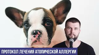 Протокол лечения неизлечимой атопической аллергии