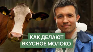 Как делают вкусное молоко | Коровы, корма, лекарства - что влияет на чистый вкус коровьего молока?