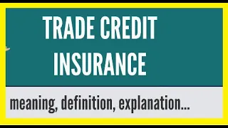 Trade Credit Insurance Explained / Understanding Credit Insurance