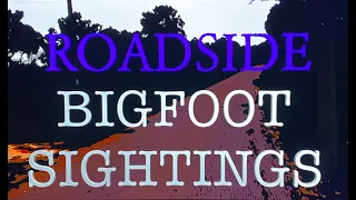 #44 BIGFOOT ROADSIDE SIGHTINGS