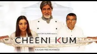 Cheeni Kum Full Movie facts and review | Tabu | Amitabh Bachchan
