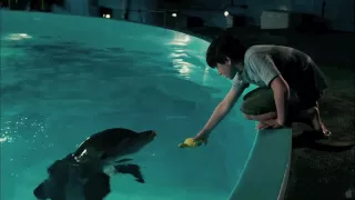 Dolphin Tale [HD Music Video] - "Safe" by Westlife