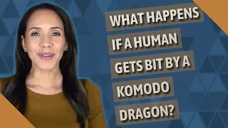 What happens if a human gets bit by a Komodo dragon?