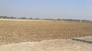 Village Vikia Sangi Larkana Sindh Pakistan