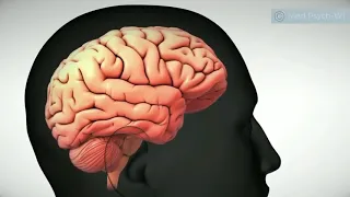 Depression I Physical Changes in The Brain