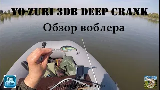 Обзор воблера Yo Zuri 3DB Deep Crank