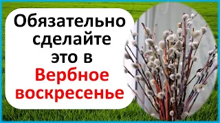 Обязательно сделайте это в Вербное воскресенье. Как праздновать и что нельзя делать в праздник