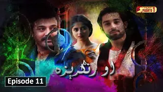 O Rungreza | Episode 11 | Pashto Drama Serial | HUM Pashto 1