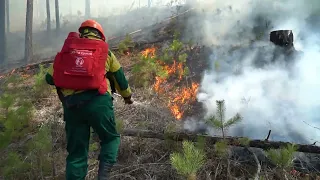 Более полусотни пожарных направит Авиалесоохрана в Приамурье