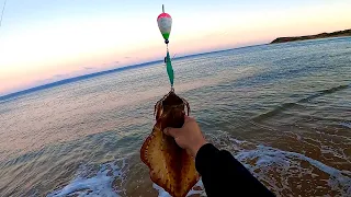 Best way to catch GIANT SQUID and WHITING from the beach