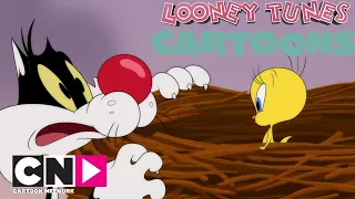Nella base militare | Looney Tunes Cartoons | Cartoon Network Italia