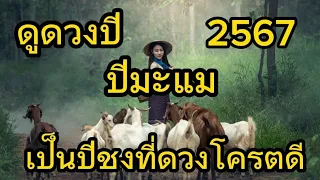 ดูดวงประจำปี 2567  สำหรับคนที่เกิดปีมะแม  (ปีแพะ) เป็นปีชงที่ดวงพุ่งแรงมาก ปีชงอะไรดวงโครตดี