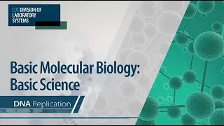 Basic Molecular Biology: Basic Science – DNA Replication