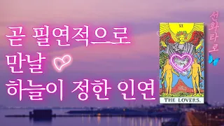 [타로/연애💗] 곧 필연적으로 만날 하늘이 정해준 상대