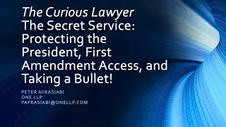 The Curious Lawyer: The Secret Service