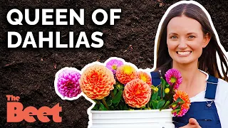 Become Your Own Flower Farmer with Jennifer Gulizia | The Beet