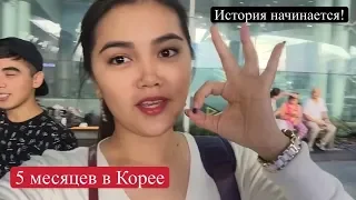 KOREA VLOG #8: Алматы. Инчхон. Сеул! Сбылась моя МЕЧТА!!!