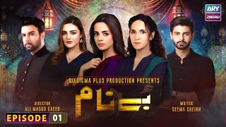 Benaam Episode 1 - Komal Meer - Anoushay Abbasi  - ARY Zindagi