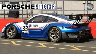 Porsche 911 GT3 R (991.2) - Pure Flat-6 Sounds & Flybys! [HD]