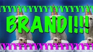 HAPPY BIRTHDAY BRANDI! - EPIC Happy Birthday Song