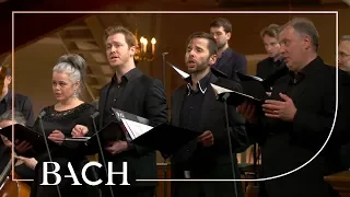 Bach - Cantata Herr, gehe nicht ins Gericht BWV 105 - Van Veldhoven | Netherlands Bach Society
