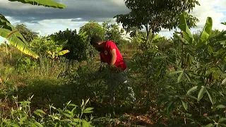 La pugna del Movimiento sin Tierra con el agronegocio en el Brasil de Lula | AFP