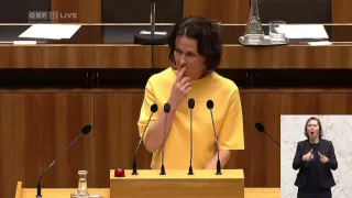 Eva Glawischnig-Piesczek (Grüne) - 53. Nationalratssitzung - U-Ausschuss