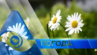 Прогноз погоды на 18 августа.