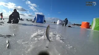 Ловим и готовим малоротку.  Сахалин 2019г.