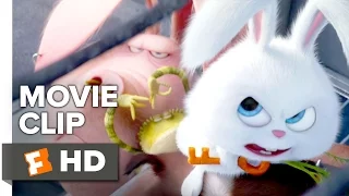 The Secret Life of Pets Movie CLIP - The Flushed Pets (2016) - Kevin Hart, Louis C.K. Movie HD