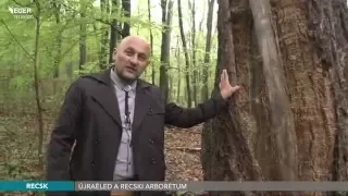 Újraéled a recski arborétum - 2016.04.12.