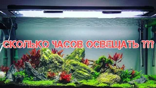 СКОЛЬКО ЧАСОВ ДОЛЖЕН ГОРЕТЬ СВЕТ В АКВАРИУМЕ