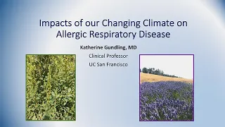 Impacts of Our Changing Climate on Allergic Respiratory Disease