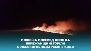 Пожежа посеред ночі: на Бережанщині горіли сільськогосподарські угіддя