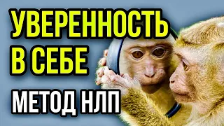 Уверенность в Себе ЗА 5 МИНУТ / Метод НЛП и Красная Таблетка Помогут Установить Уверенность!