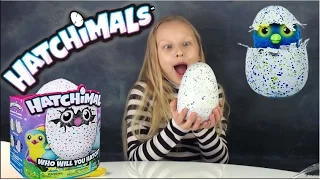 HATCHIMALS REVIEW - HATCHIMALS MAGIC SURPRISE EGG