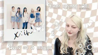 УЧИМ ГРУППУ X:IN за 5 минут|dragonfly|symms×kpop