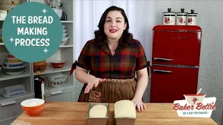 Understanding Bread Making Step-By-Step | kneading, proofing, bulk fermentation, shaping