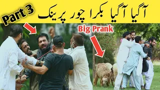 Bakra prank part 3 || Velle Loog Khan ali @dailyfunpranks