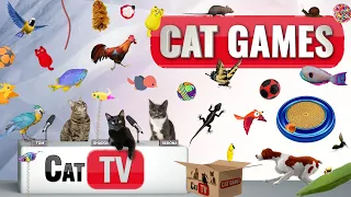 CAT Games | Ultimate Cat TV Compilation Vol 27 | 2 HOURS 🐝🐞🦋🦎🦜🐜🐭🧵