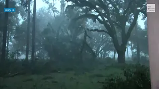 Meteorologist Reynolds Wolf watches Hurricane Idalia down trees in Perry, Florida